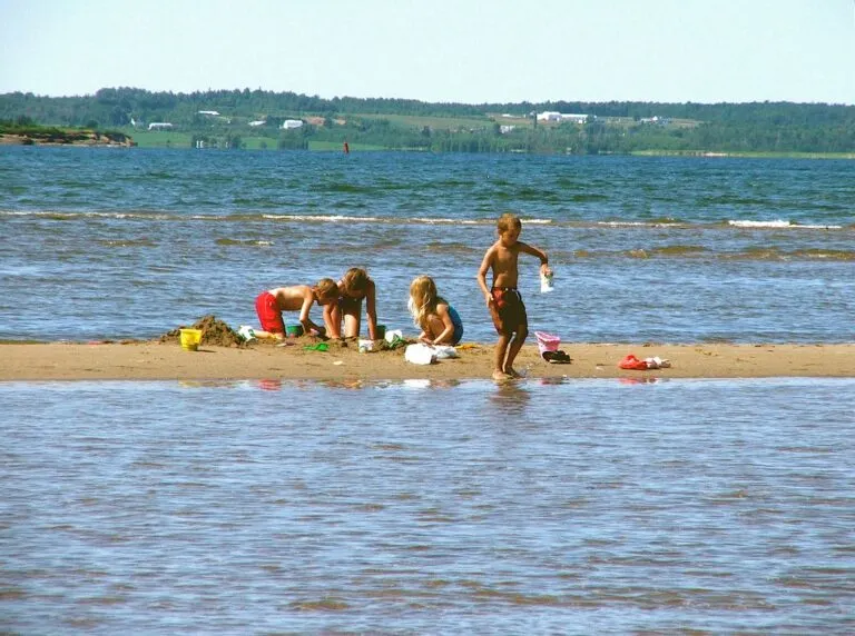 Proven Marketing Strategies for Builders in Moncton NB to Drive Growth 1 Entertainment in Moncton